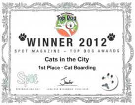 Spot Magazine Cat Boarding Award