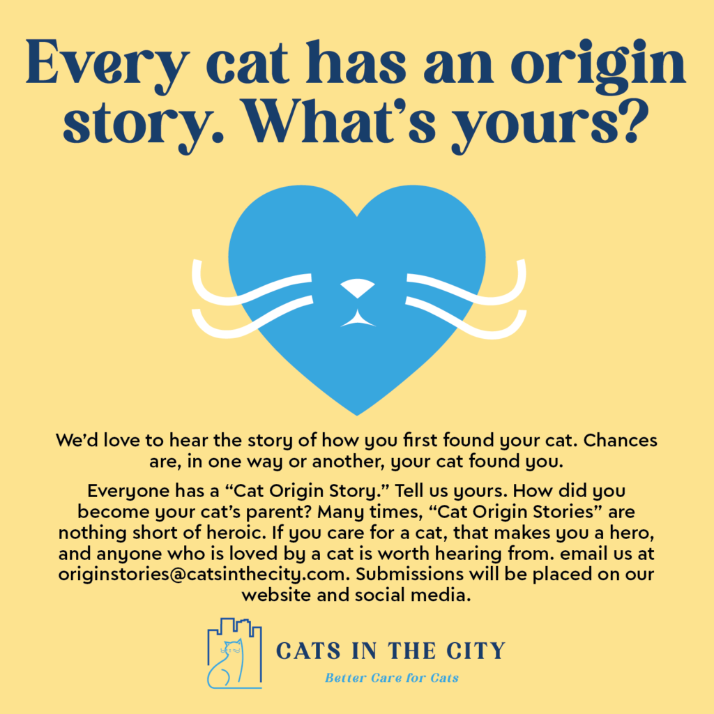 cat origin stories