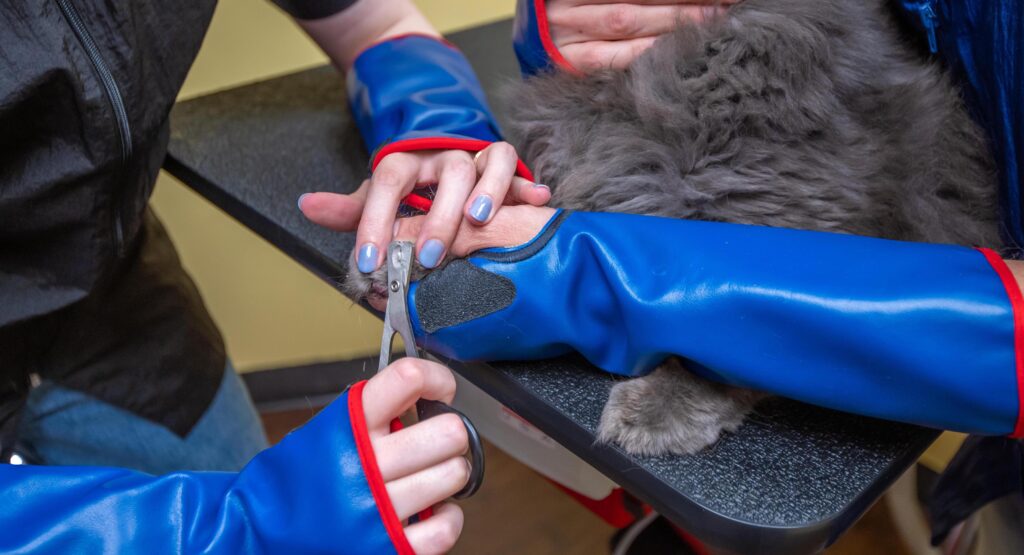 tandem cat grooming claw trim