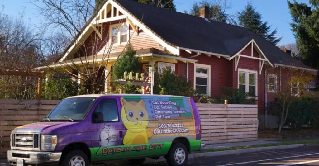 catsinthecity-van