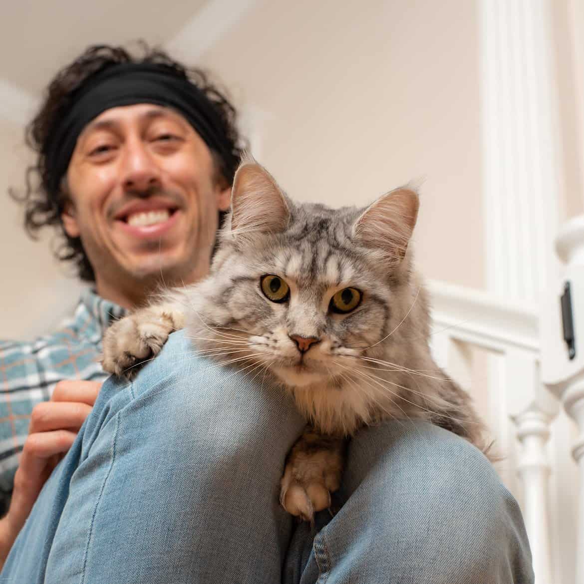 Cats in the City staff preparing special boarding accommodations