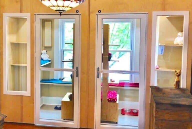 Studio boarding bedroom with vertical climbing, open floor space, glass doors and windows, and a hiding cubby at Cats in the City Sellwood Portland