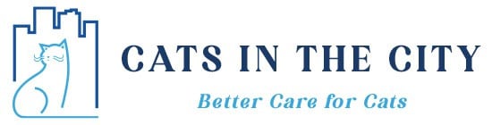 Cats in the City — Better Care for Cats