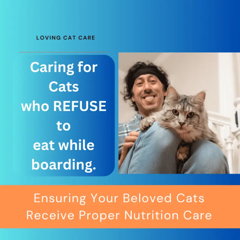 Caring for cats who refuse to eat while boarding educational graphic