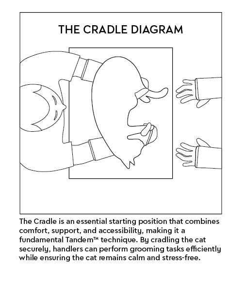 Cradle diagram showing supported feline body positioning in TANDEM Cat grooming