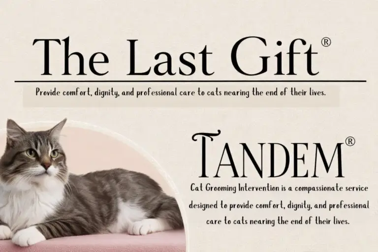 The Last Gift is Grooming for End of Life