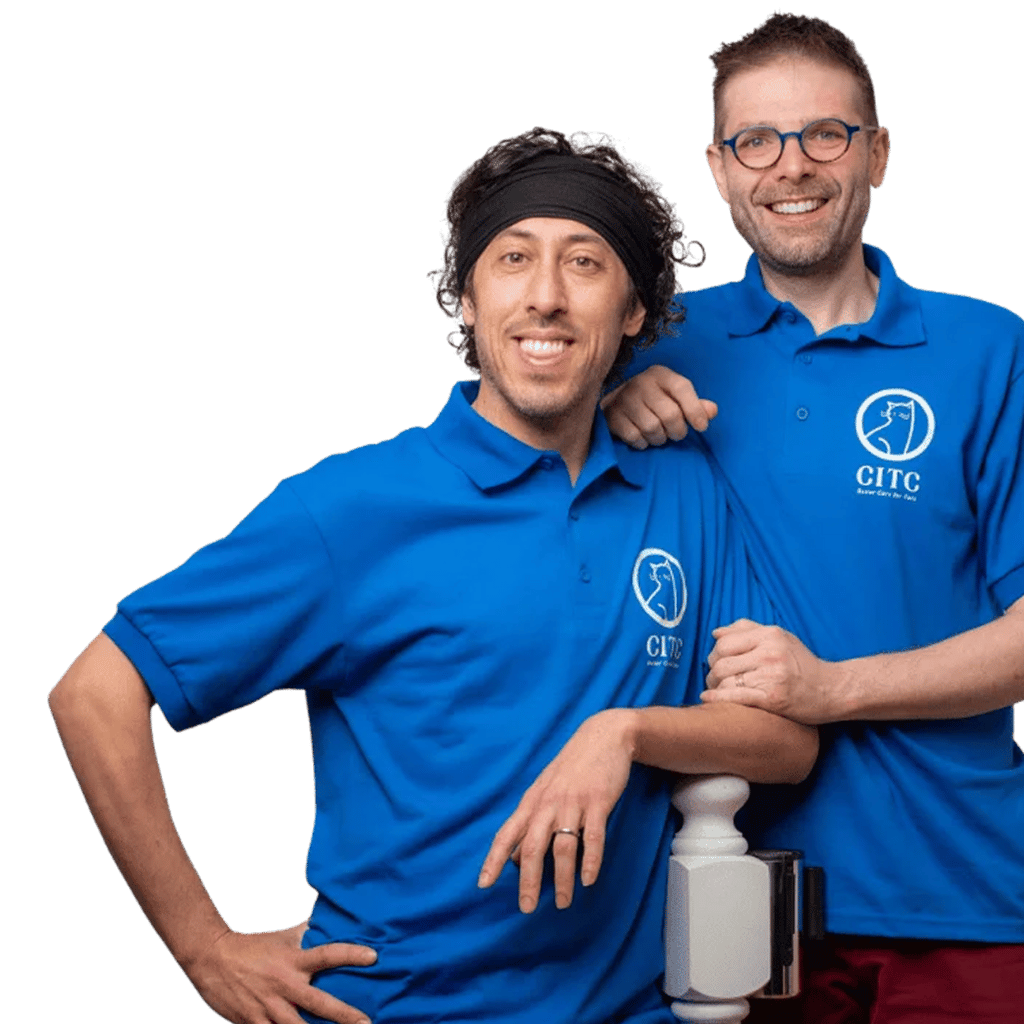 Shawn Lioyryan at Cats in the City