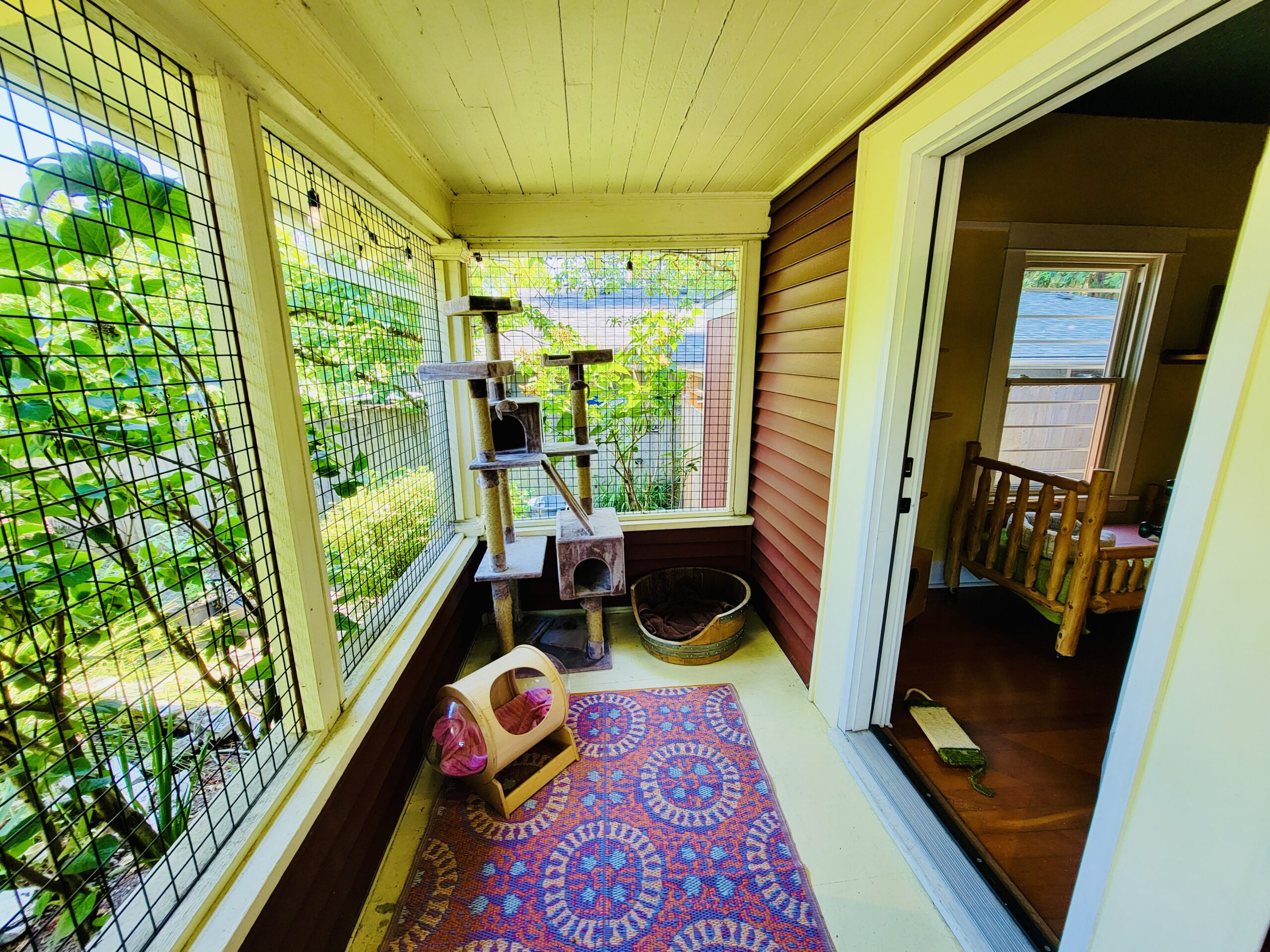 Private enclosed garden view catio at Cats in the City Sellwood Portland cat boarding