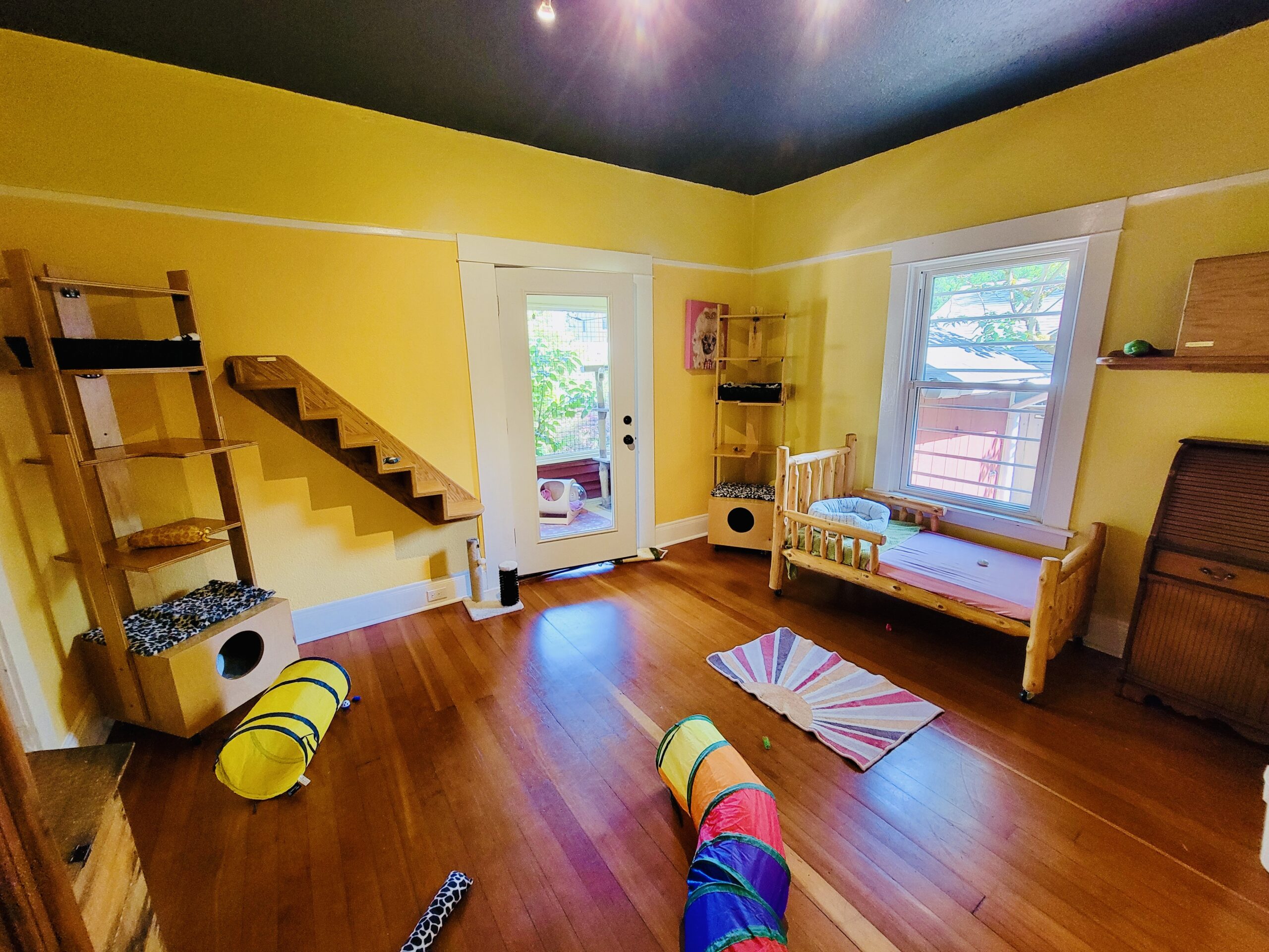 Garden View Grand Master family suite with private enclosed garden catio at Cats in the City Sellwood Portland