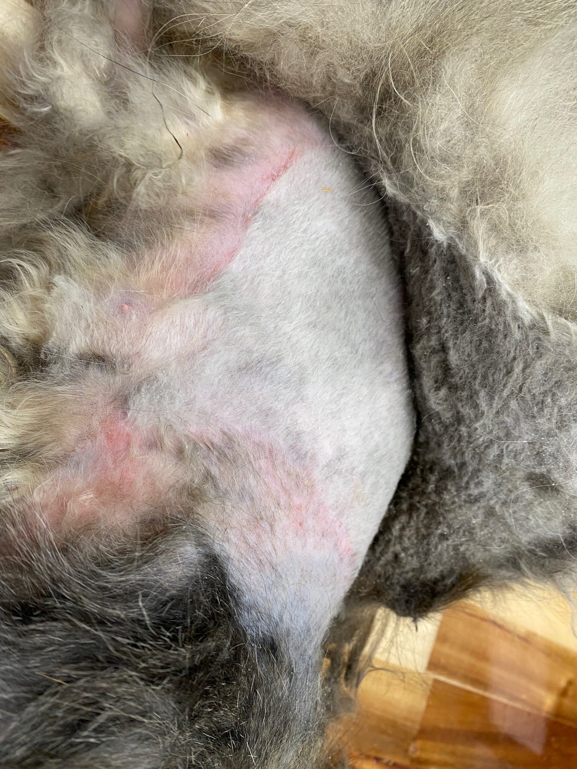 Bruising and friction burn skin injury from matting