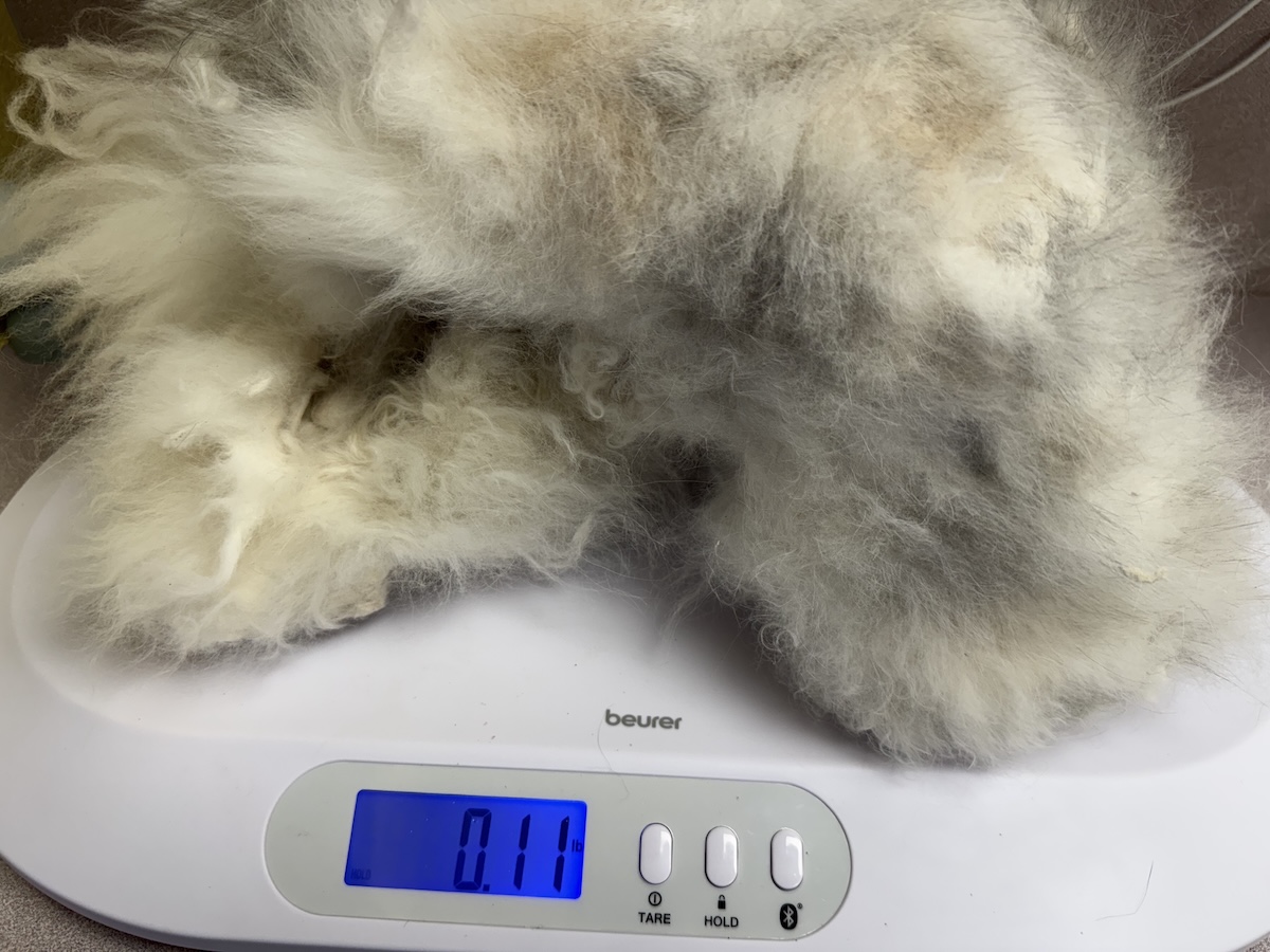 Full-body pelt removed from a severely matted cat weighed on a scale reading 11 ounces
