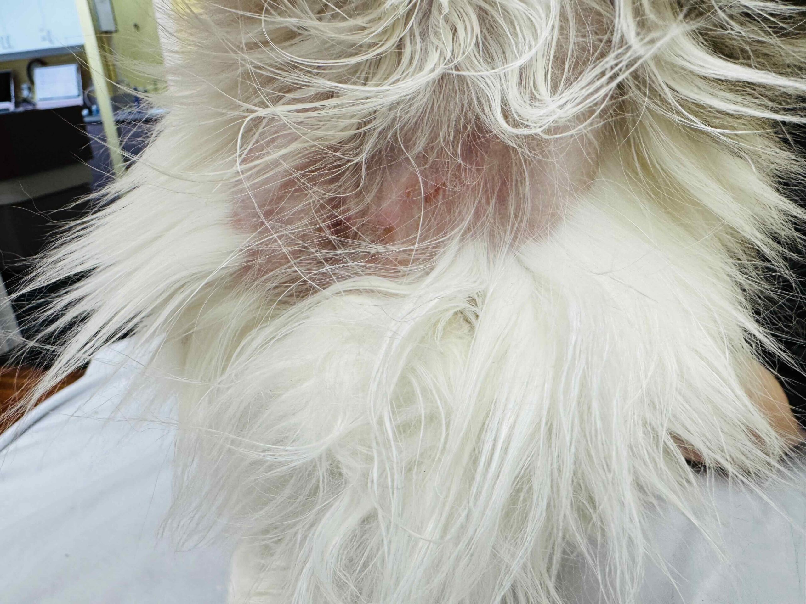 Skin irritation revealed after mat release