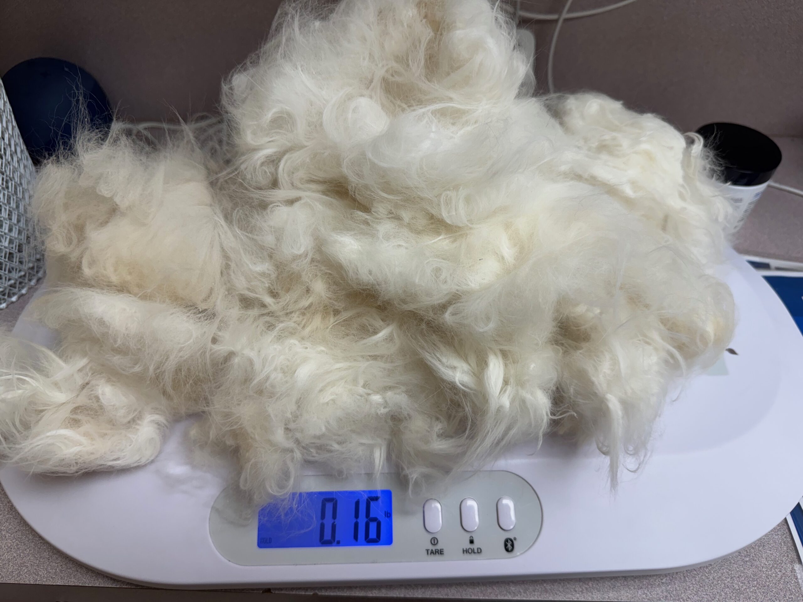 Intact feline pelt on a scale showing weight after removal