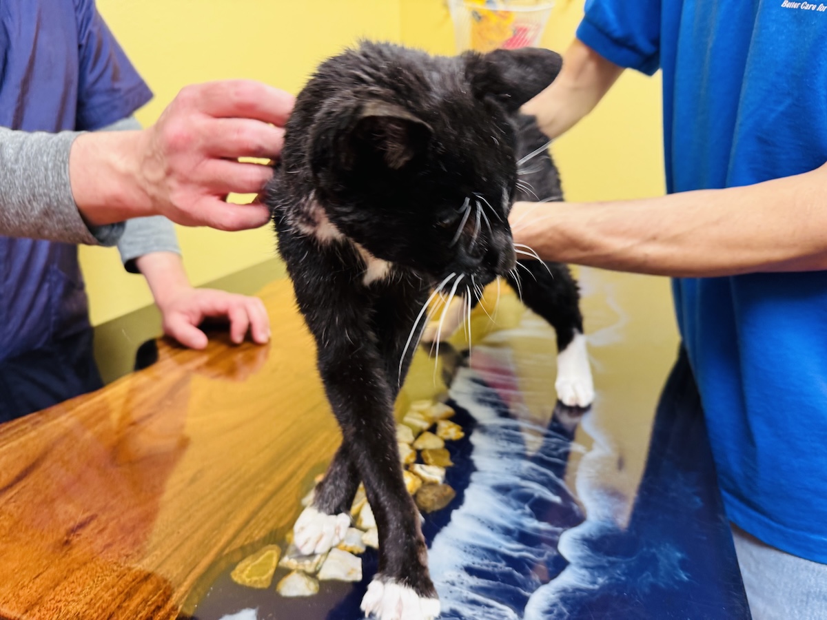 Protecting knees hips and back during grooming