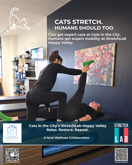 Cats stretch humans should too collaboration ad featuring StretchLab Happy Valley and Cats in the City