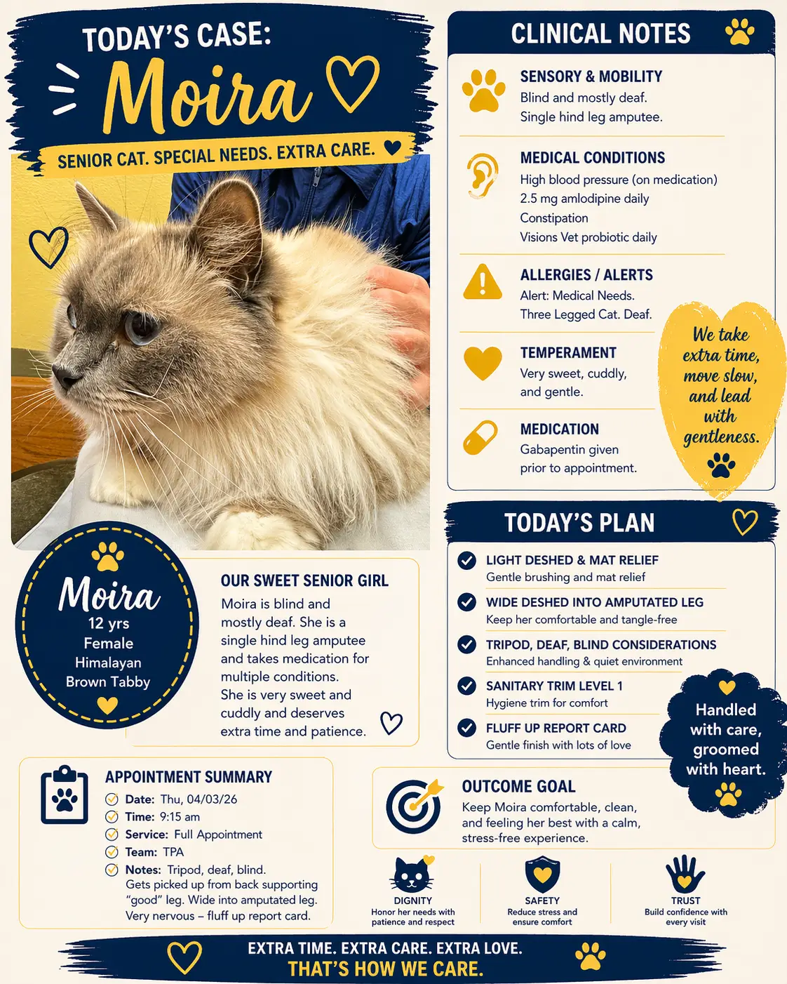 Special-needs cat receiving grooming
