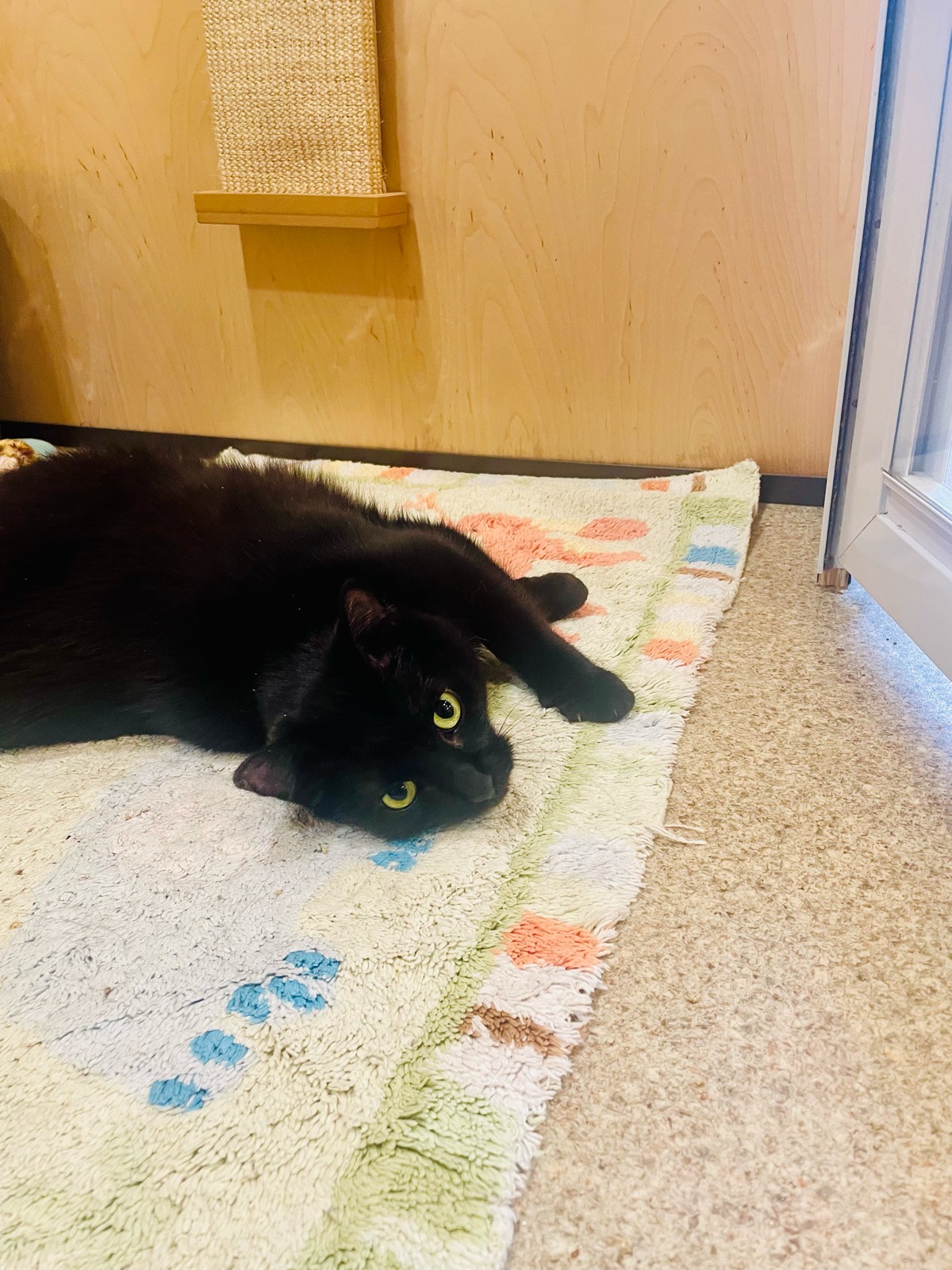 Diabetic patient from case study showing calm posture during boarding