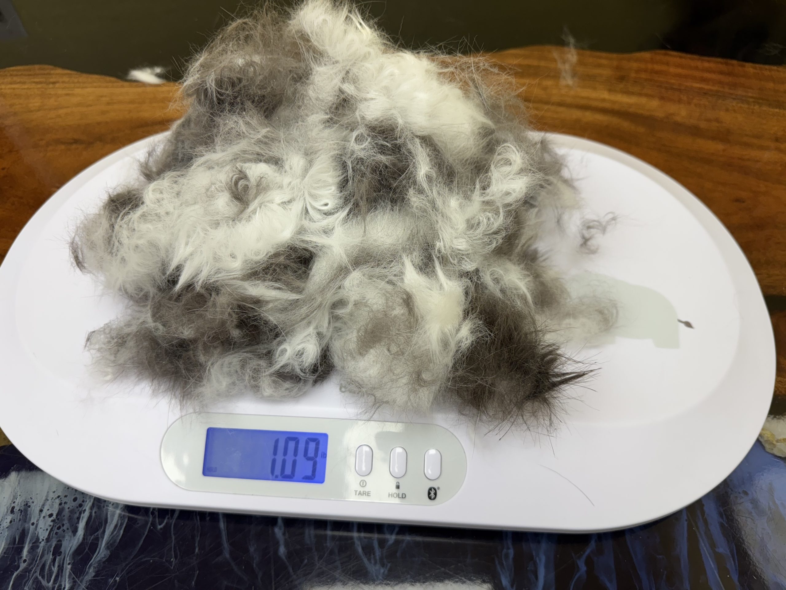 Removed coat burden on scale showing 1.09 pounds