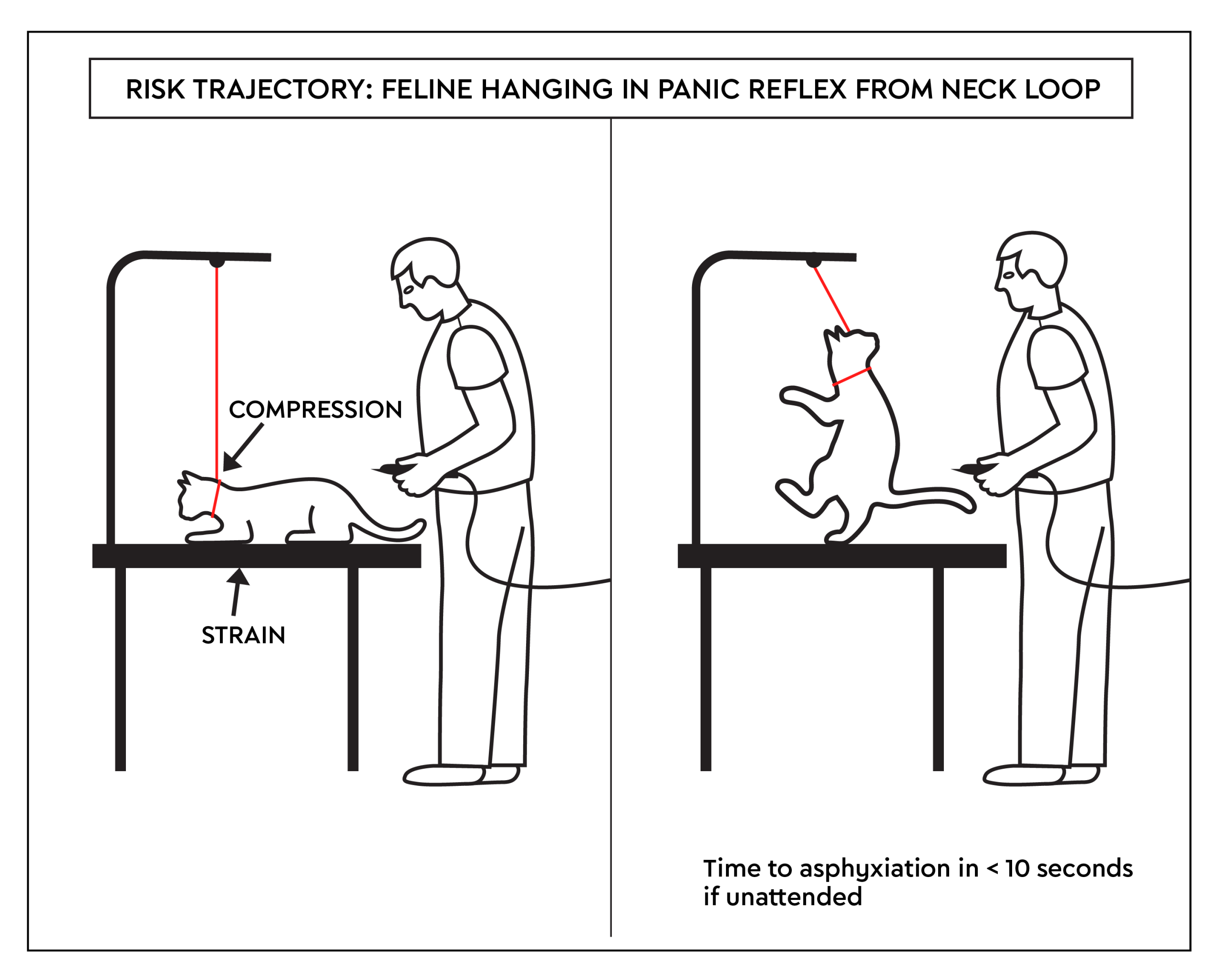 Neck loop diagram showing panic reflex and risk of injury during solo grooming