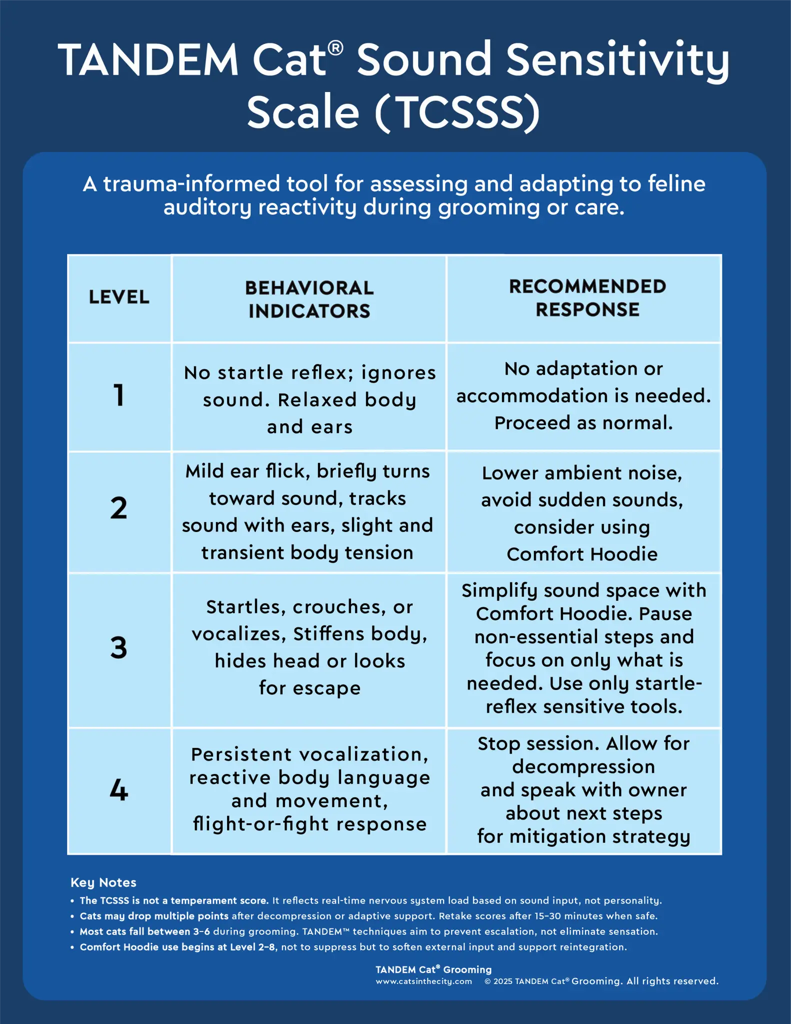TANDEM Cat Sound Sensitivity Scale
