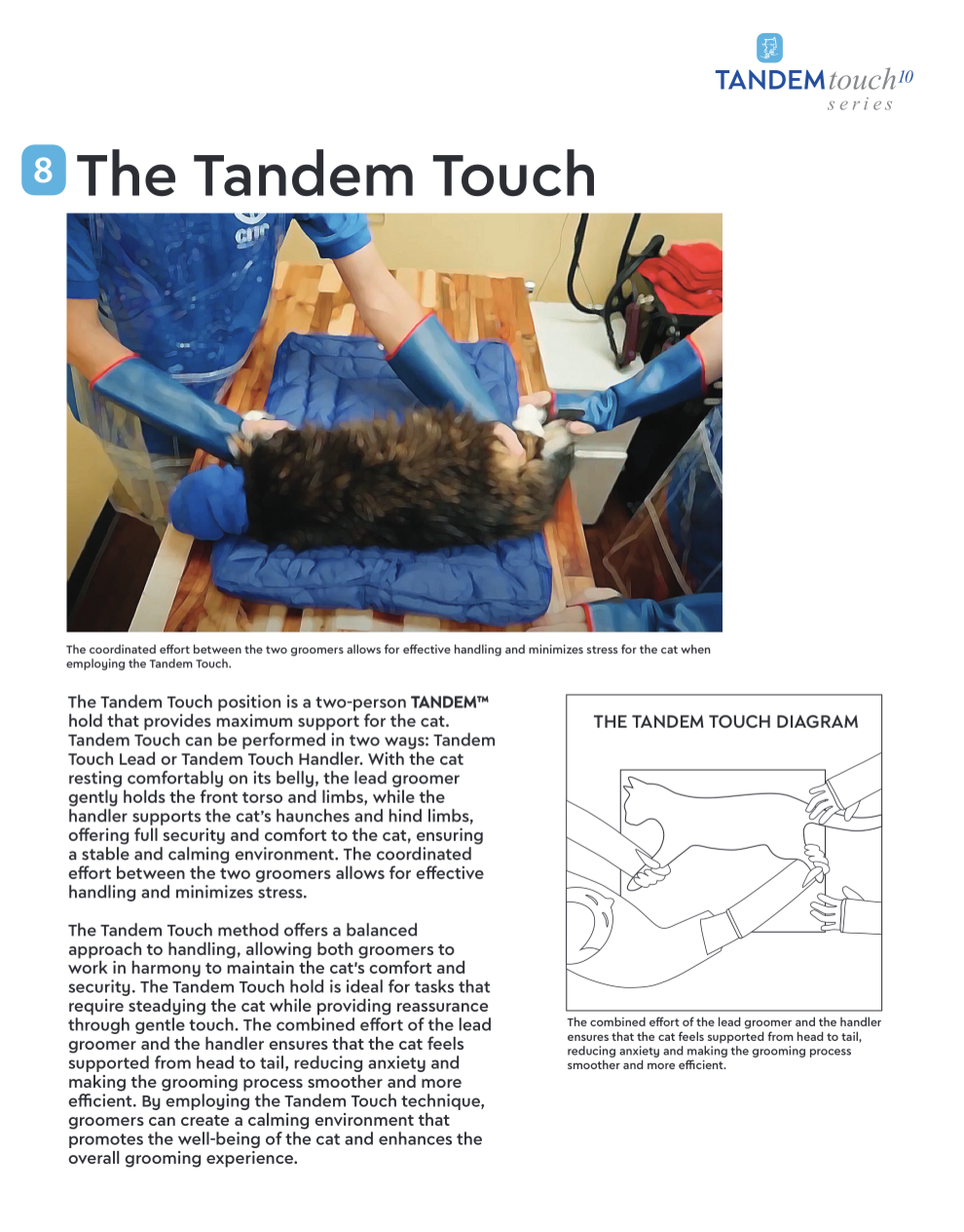 TANDEM Touch right or left support position showing directional shared stabilization