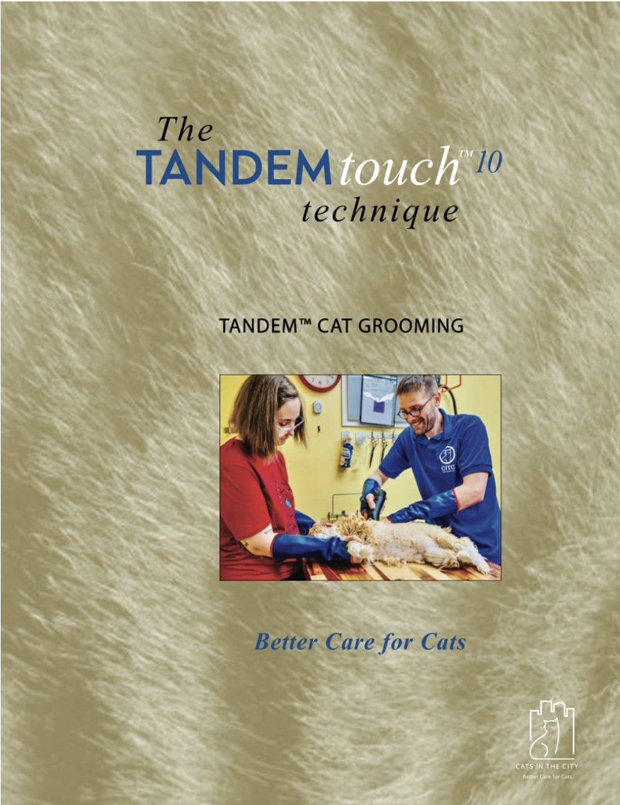 TANDEM touch 10 cover image