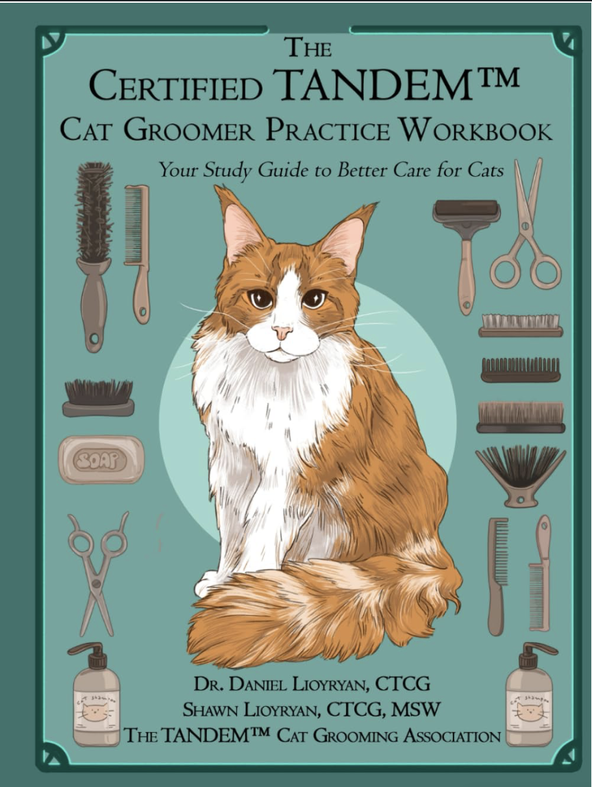 Practice Workbook cover image