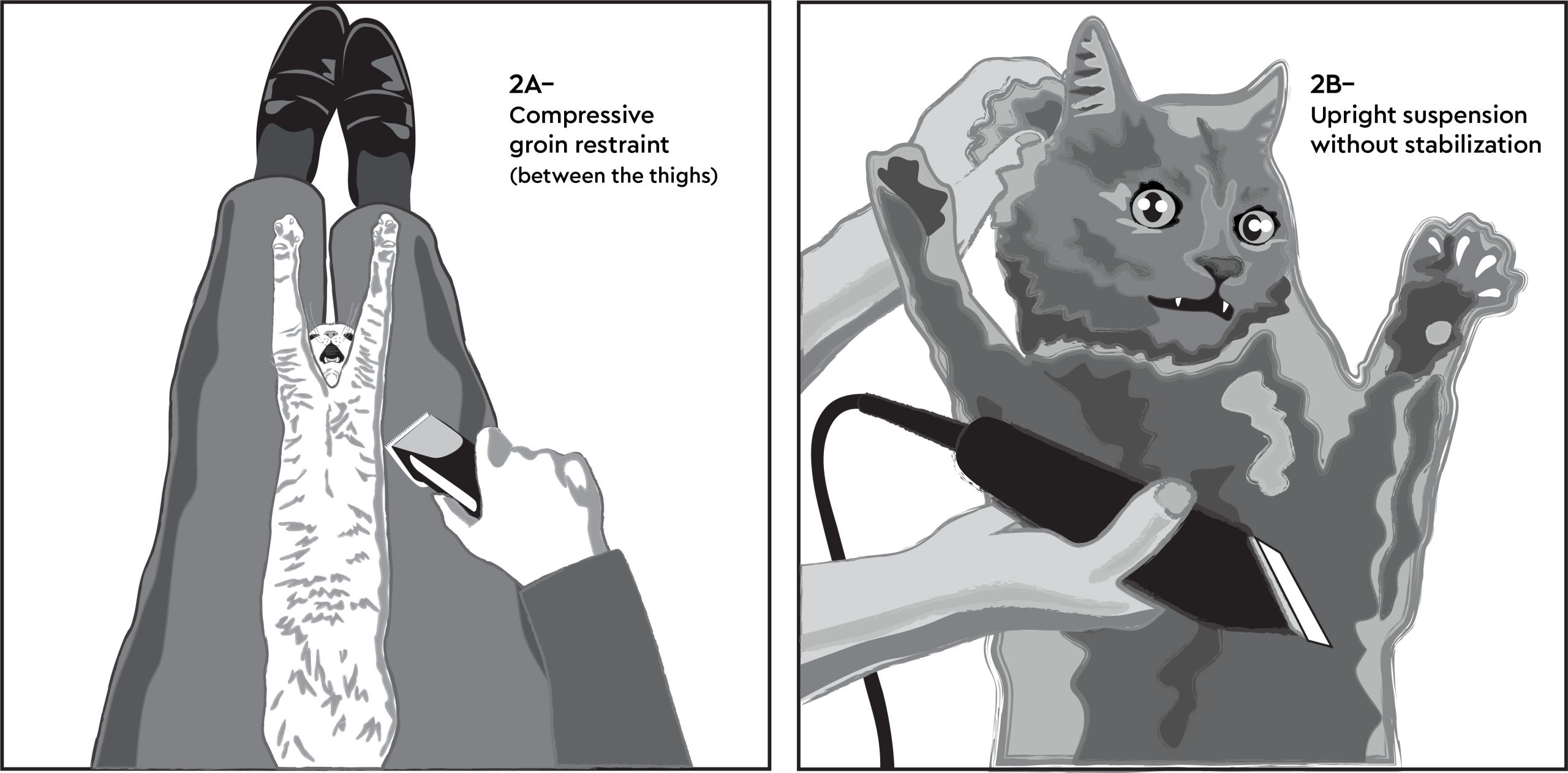 Solo cat grooming restraint techniques showing compressive restraint and upright suspension without stabilization