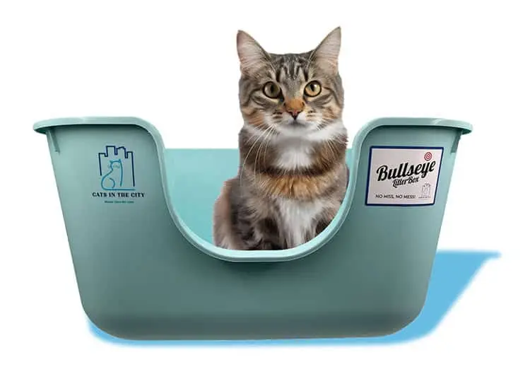 Cat using an adapted litter environment
