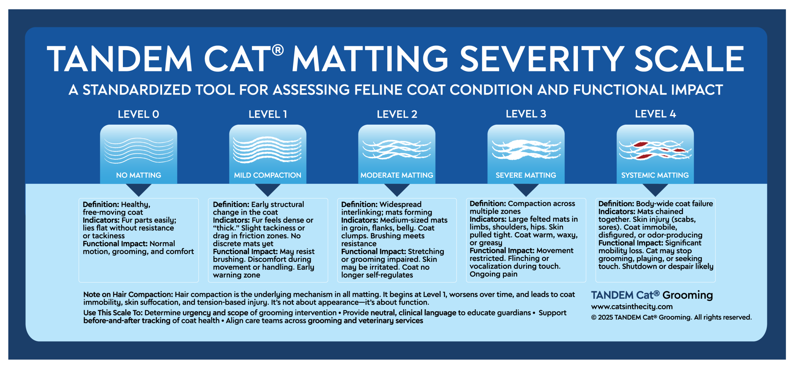 TANDEM Cat Matting Severity Scale chart