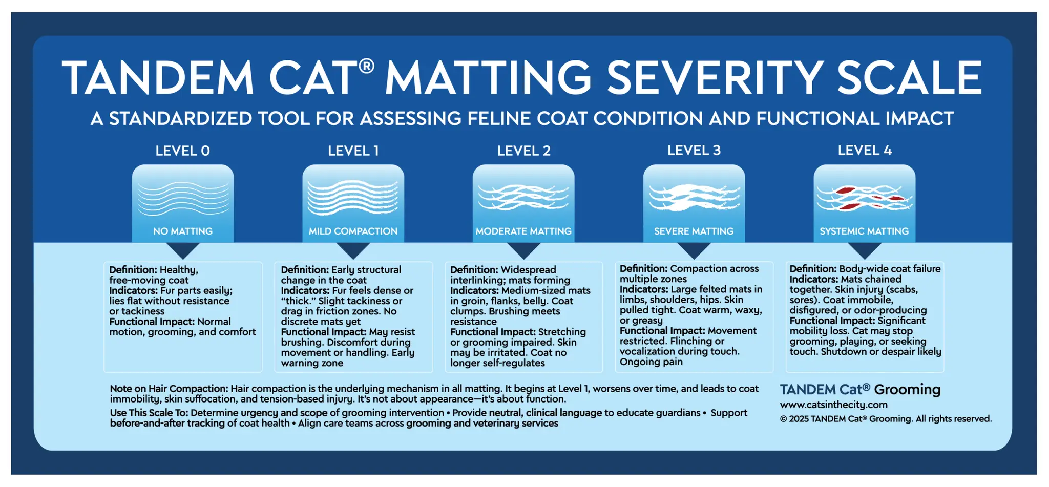TANDEM Cat Matting Severity Scale