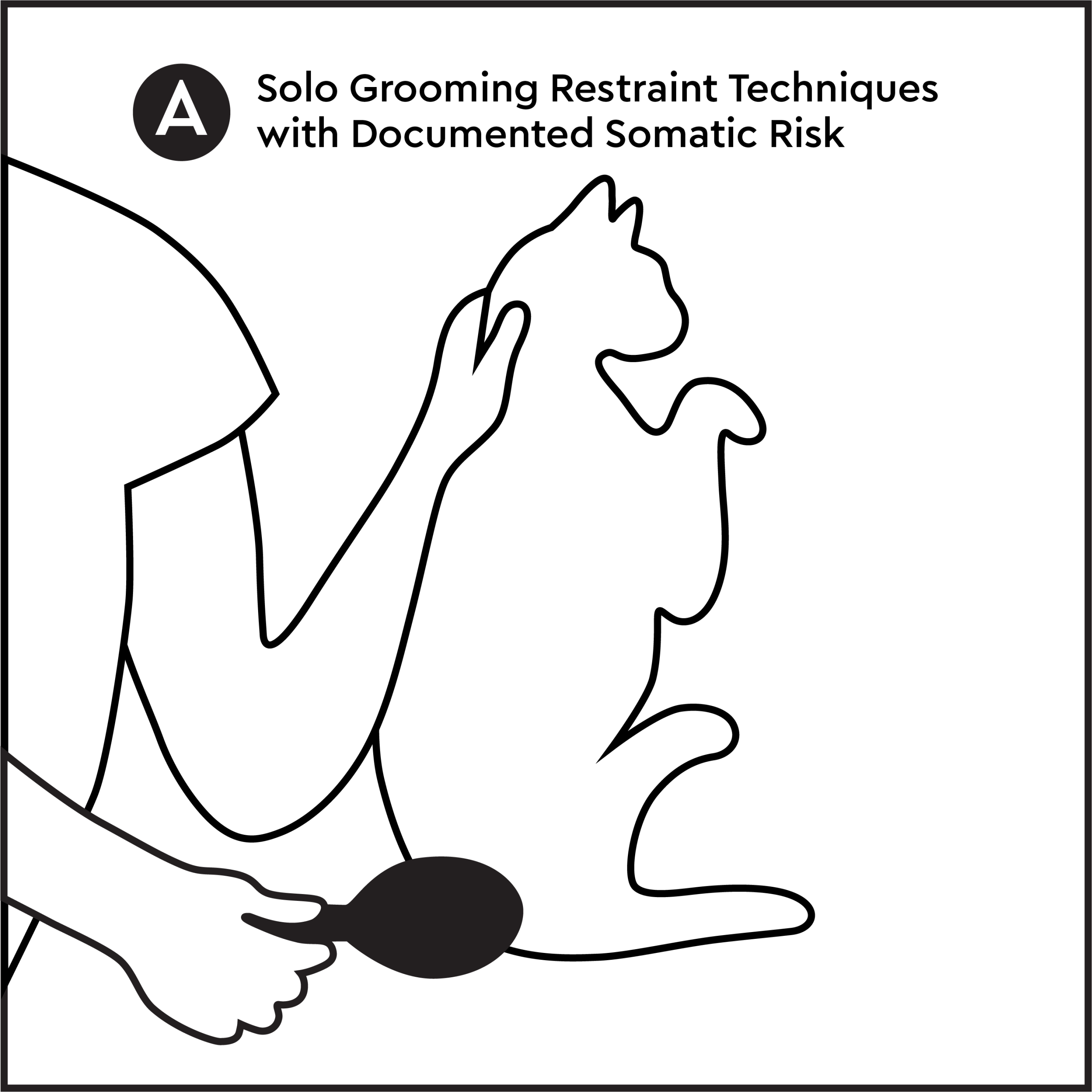 Cat held upright without support during grooming showing panic expression and unstable body positioning