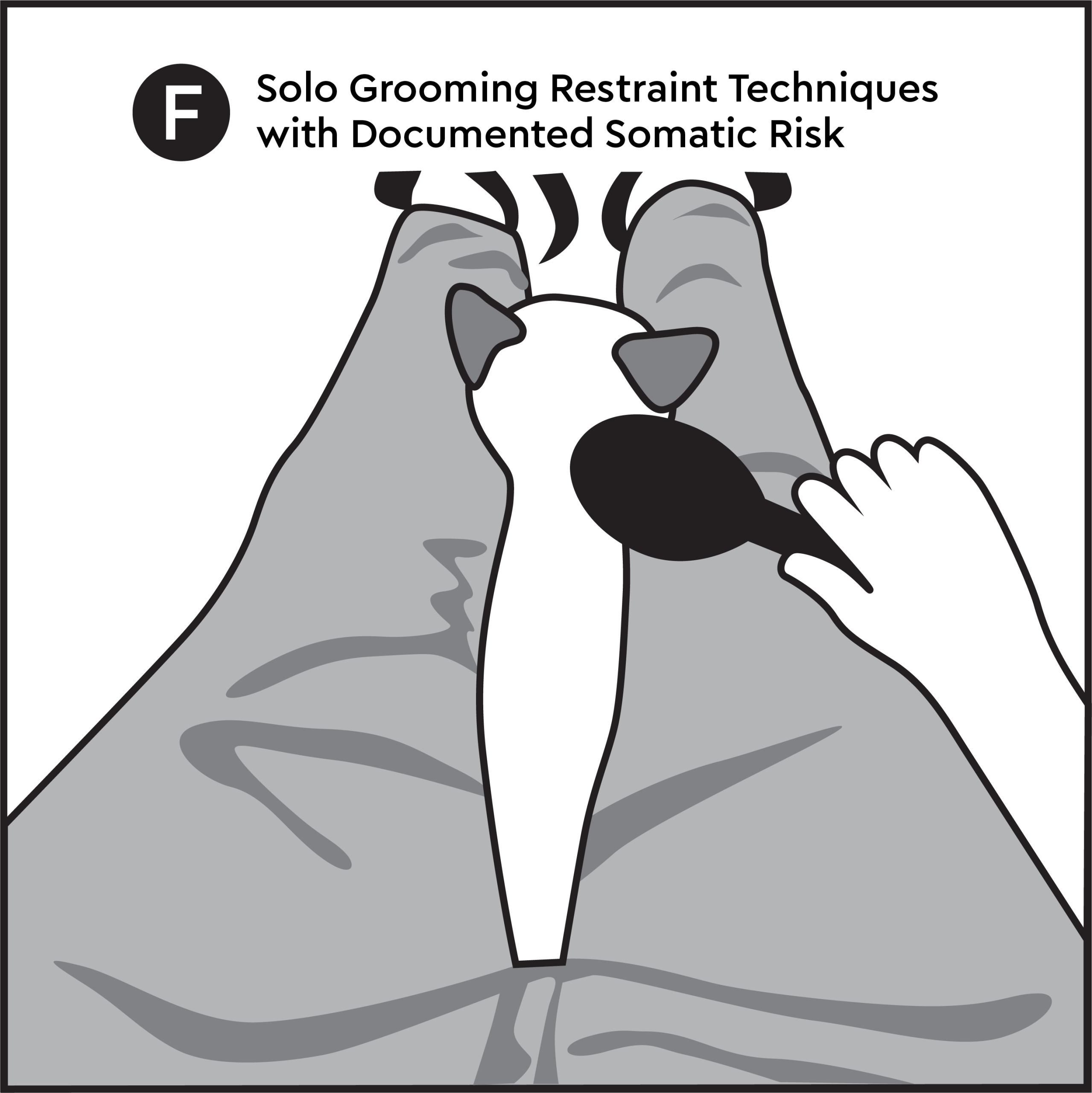 Solo grooming restraint compressing cat between groomer's legs