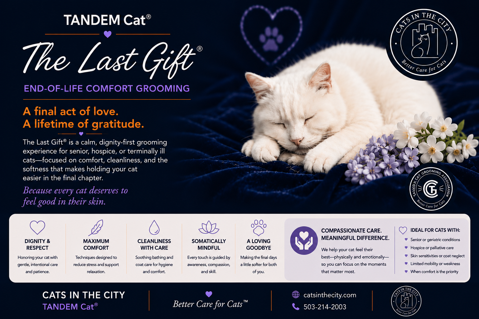 The Last Gift end-of-life comfort care