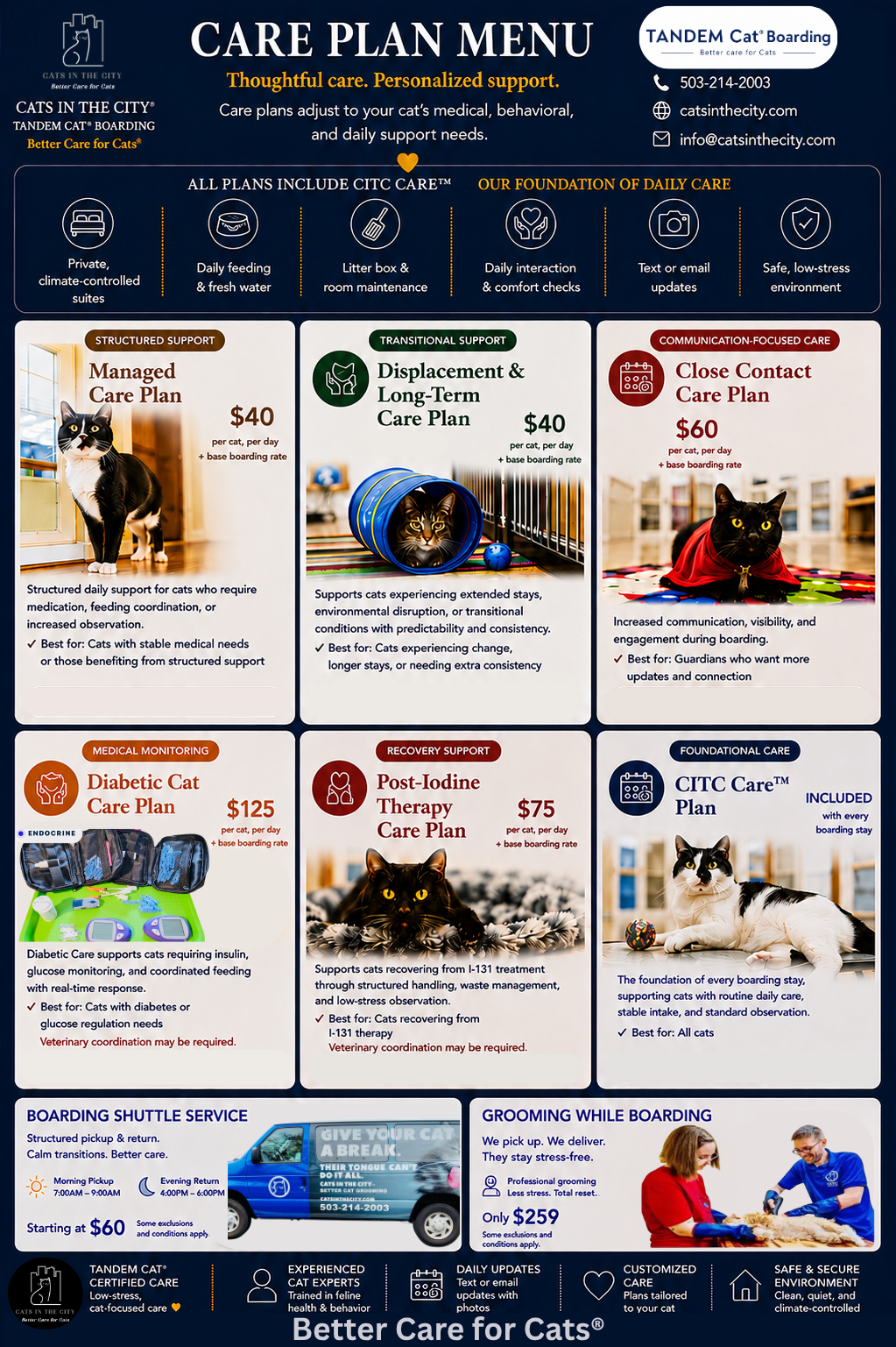 Cats in the City boarding care plans