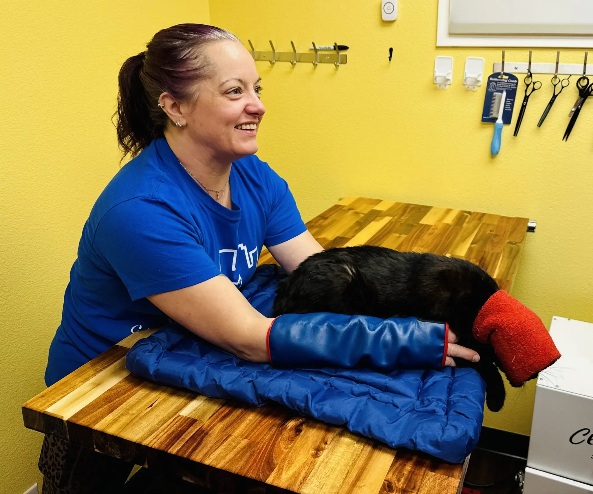 TANDEM Cat grooming at Cats in the City