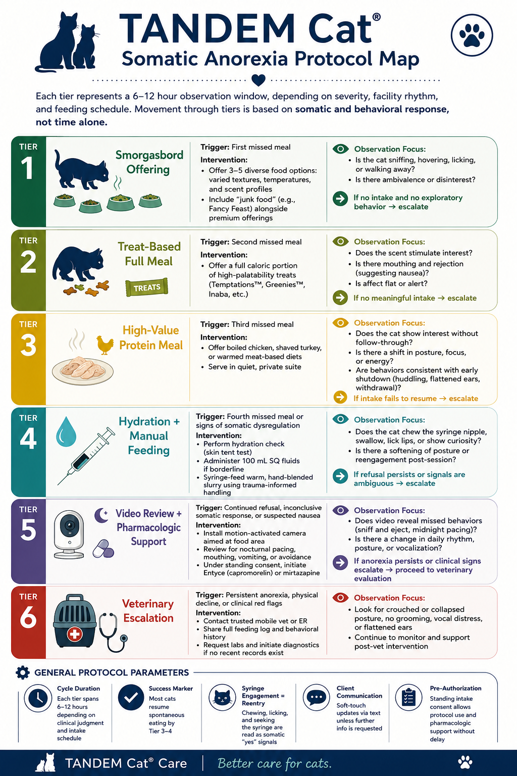 TANDEM Cat Somatic Anorexia Protocol