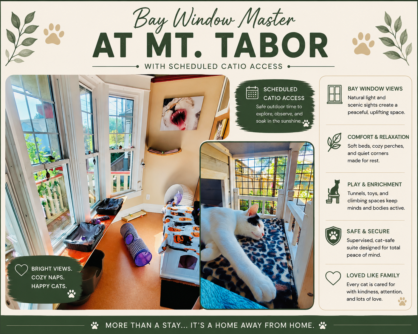 Bay Window Master at Mt. Tabor