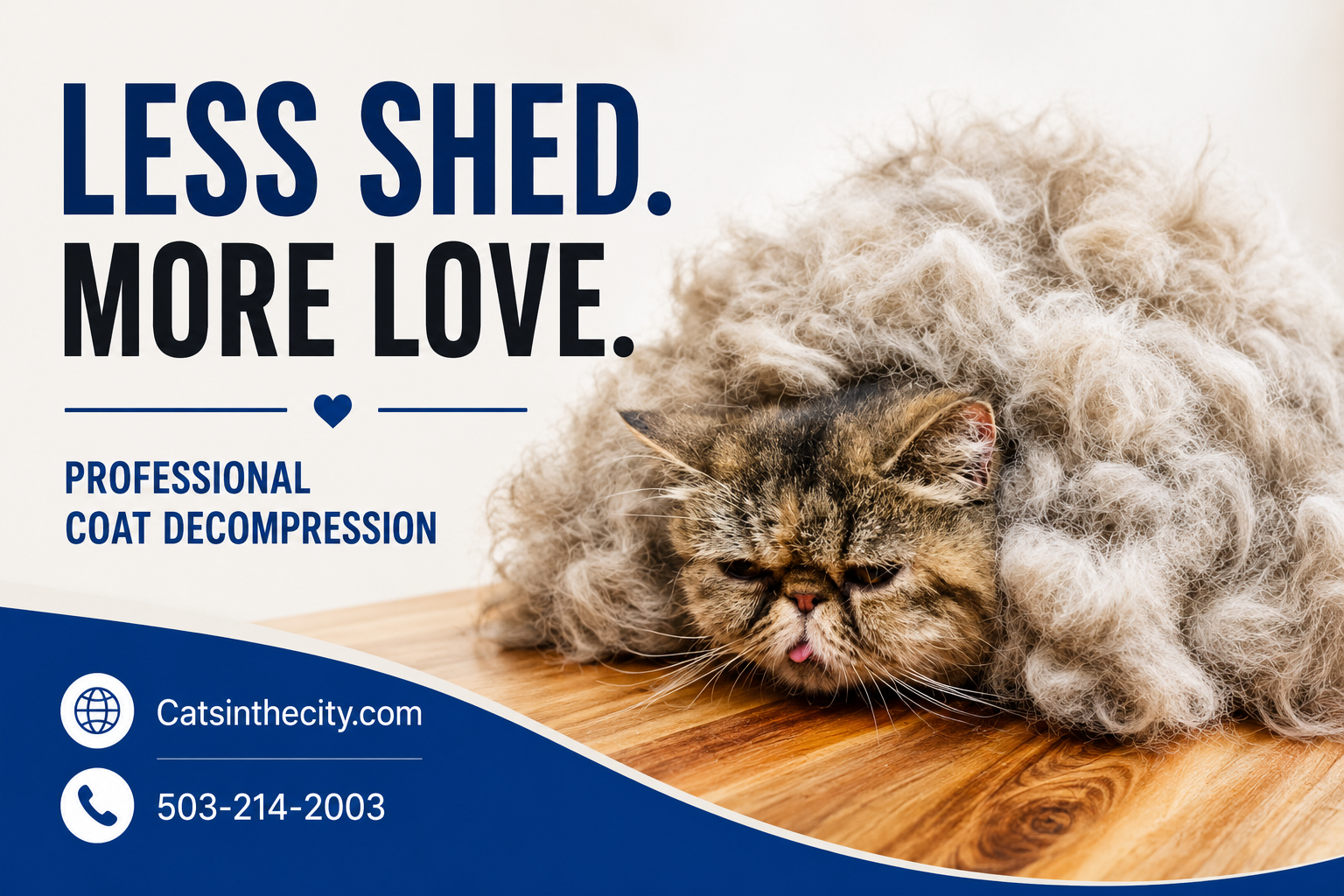 Less Shed More Love professional coat decompression graphic