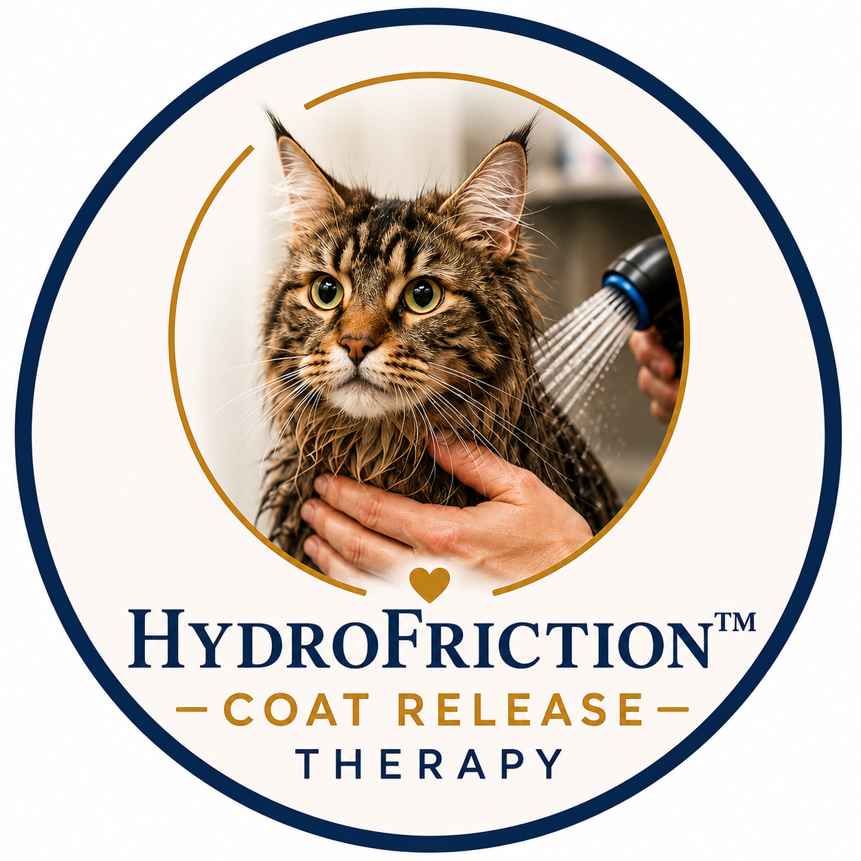 HydroFriction logo