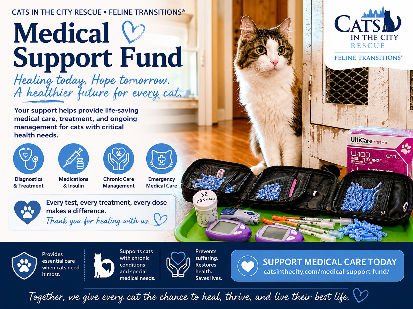 Cat Medical Support Fund
