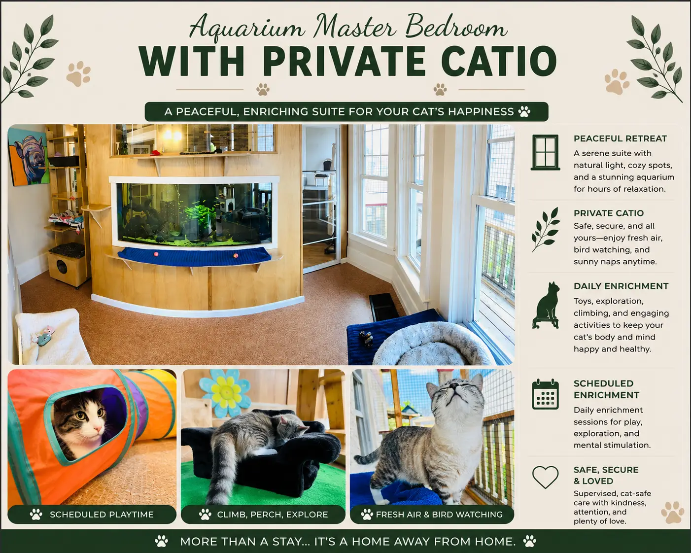 Feline-only boarding room at Cats in the City