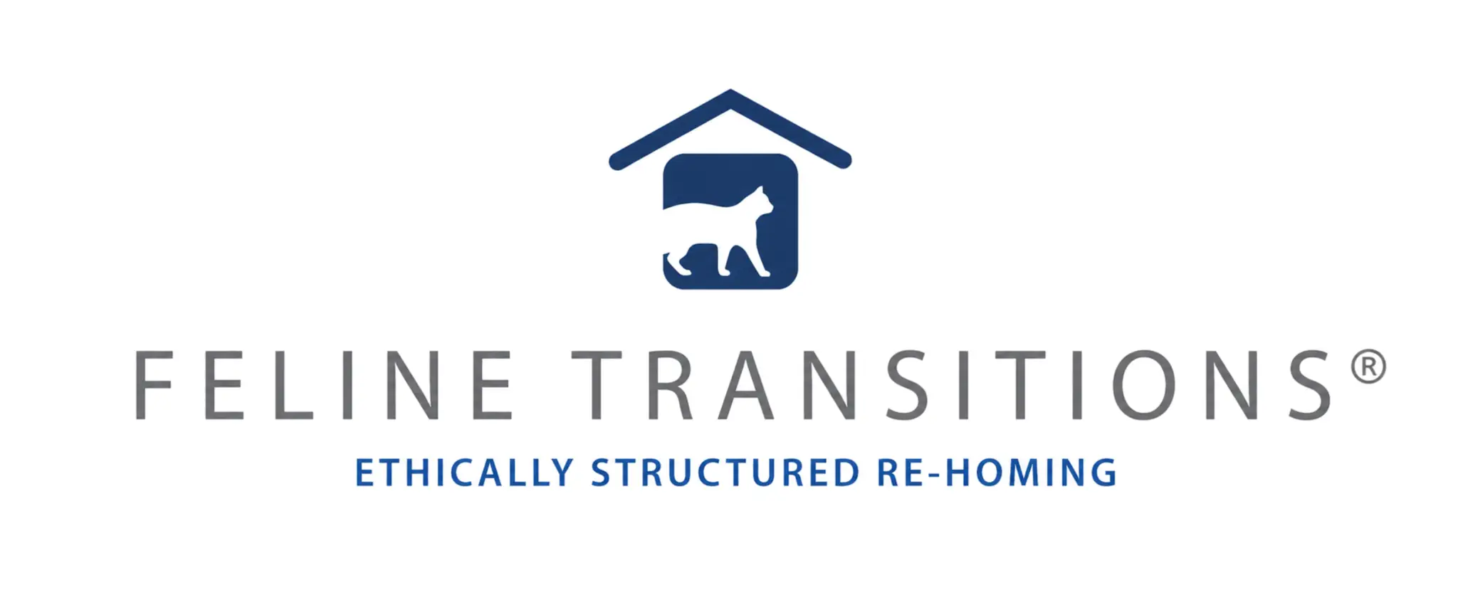 FELINE TRANSITIONS