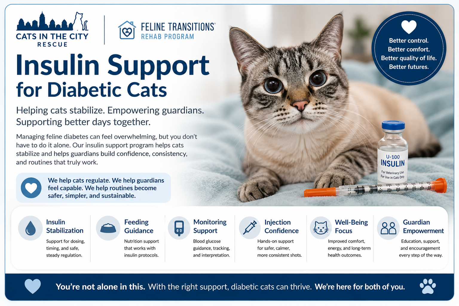 Insulin Support for Diabetic Cats