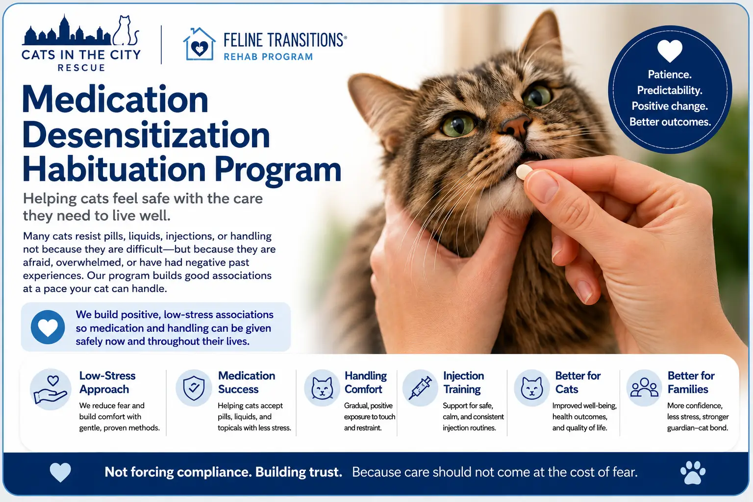 Cat receiving calm medication support