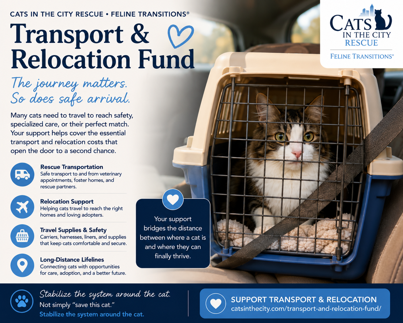 Cat Transport and Relocation Fund