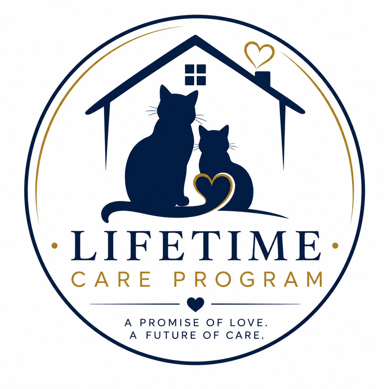 Cats in the City Rescue Lifetime Care Program