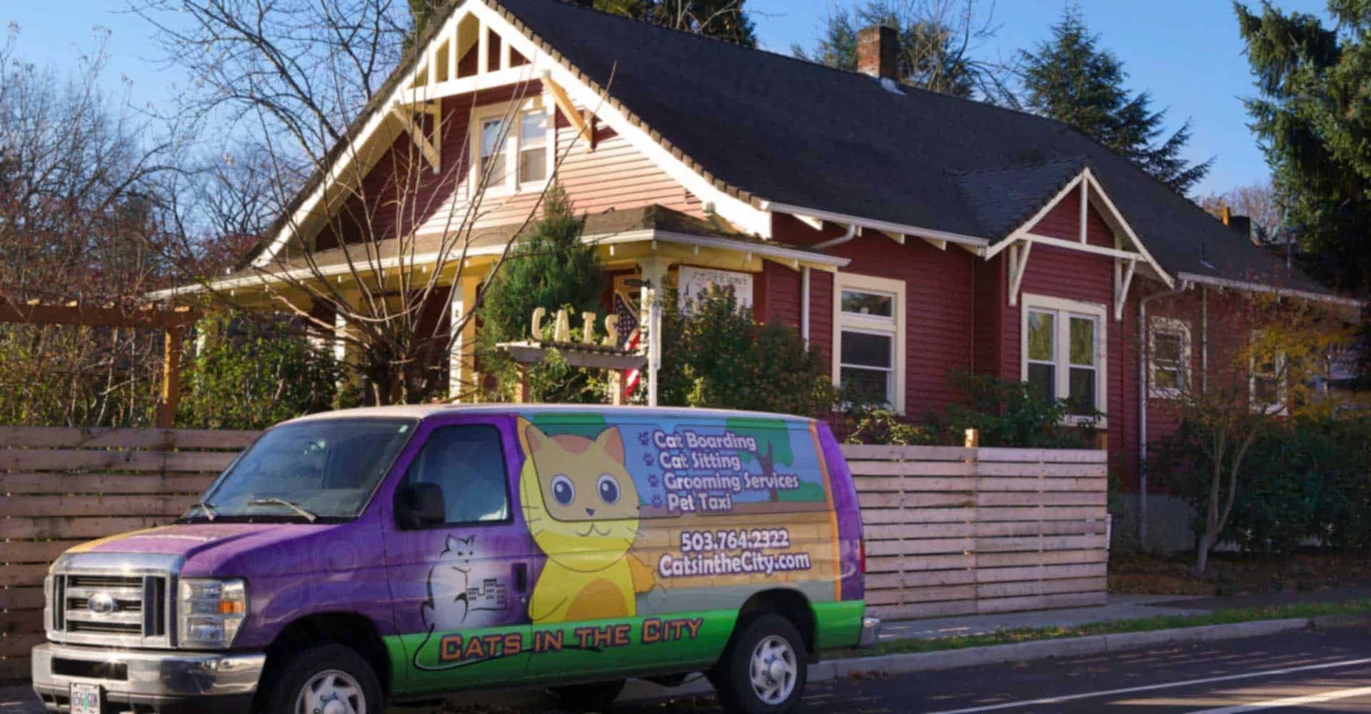 catsinthecity-van
