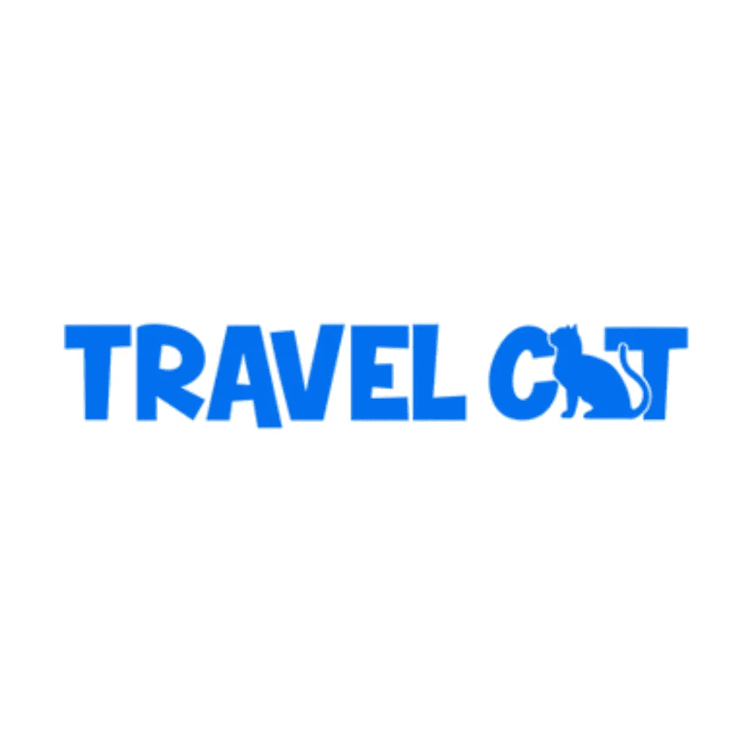 travel cat article