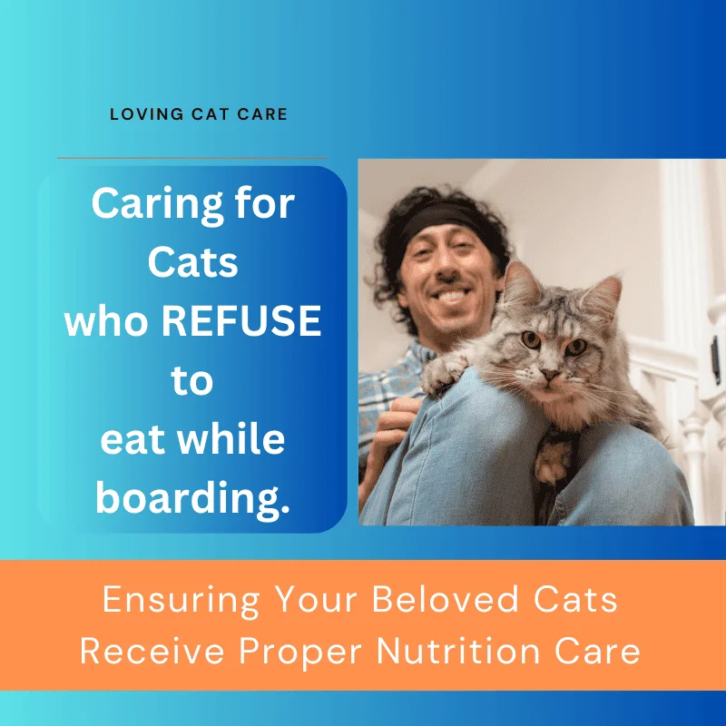 Care pathway for cats who refuse to eat while boarding